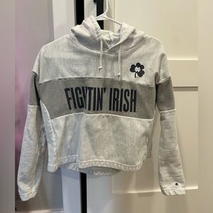 Champion Gray Fightin' Irish Hoodie